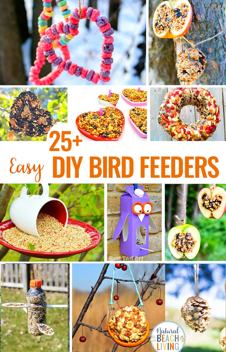 25 Homemade Bird Feeders You’ll Want to Make Today