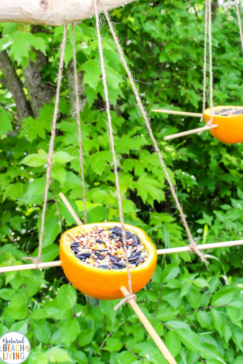 Orange Bird Feeder – Easy Homemade Bird Feeders