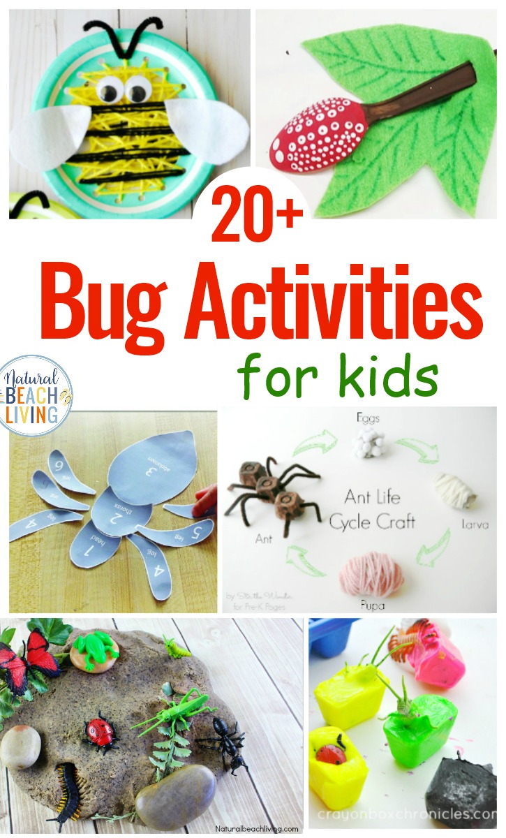 25 Bug Activities For Preschool Natural Beach Living