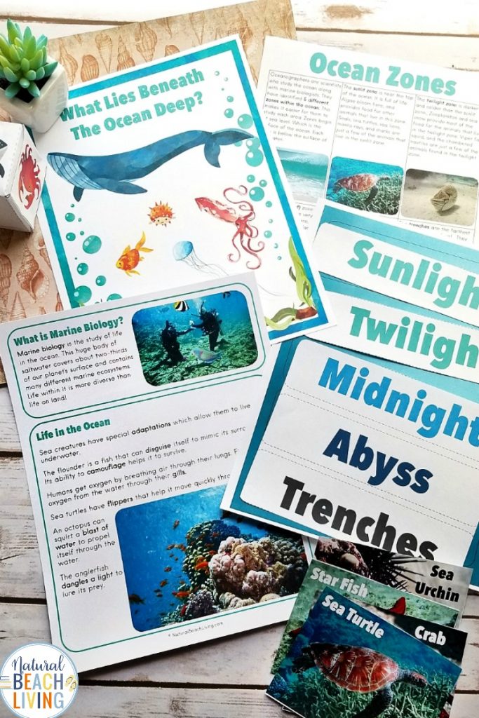 Ocean Science Activities are a perfect way to spend time learning during the summer or for a fun ocean theme.Here is fantastic Under the Sea Activities for Kids. Including sea shell sorting activities, ocean zones for kids, Science experiments for Kids and Ocean Activities for Kids, An AMAZING Ocean Unit Study 