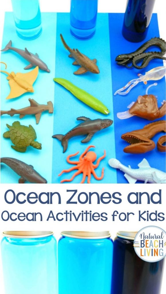 ocean zones for kids and ocean activities natural beach living