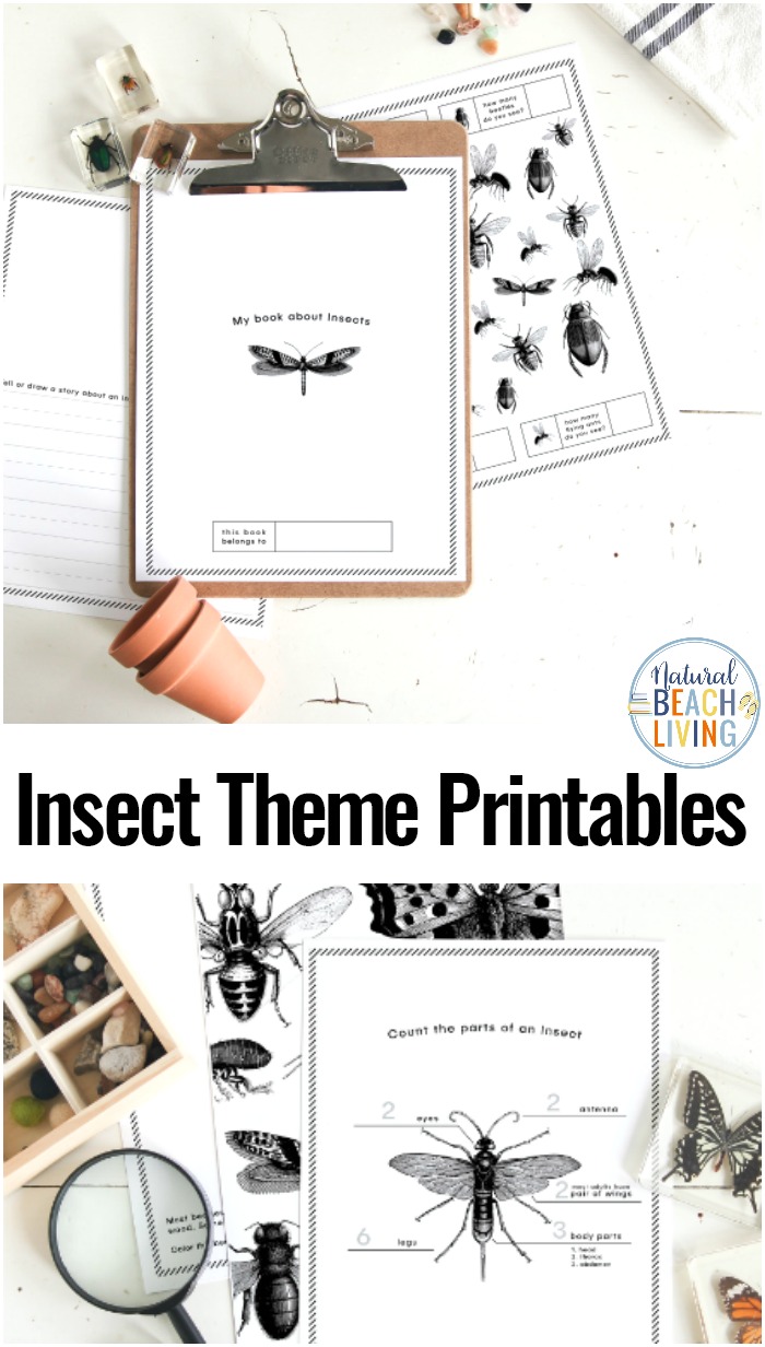 Preschool Insect Theme Printables – Free Insect Activities for Preschoolers
