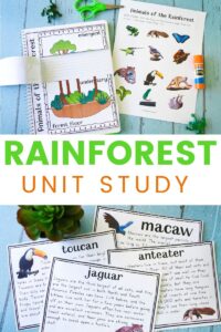 Rainforest Lesson Plans and Rainforest Activities for Kids - Natural