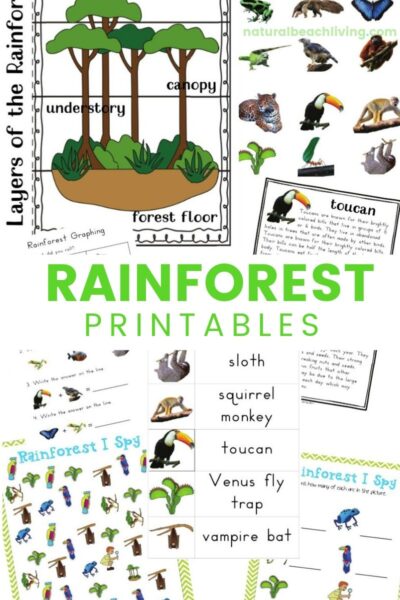 Rainforest Lesson Plans and Rainforest Activities for Kids - Natural