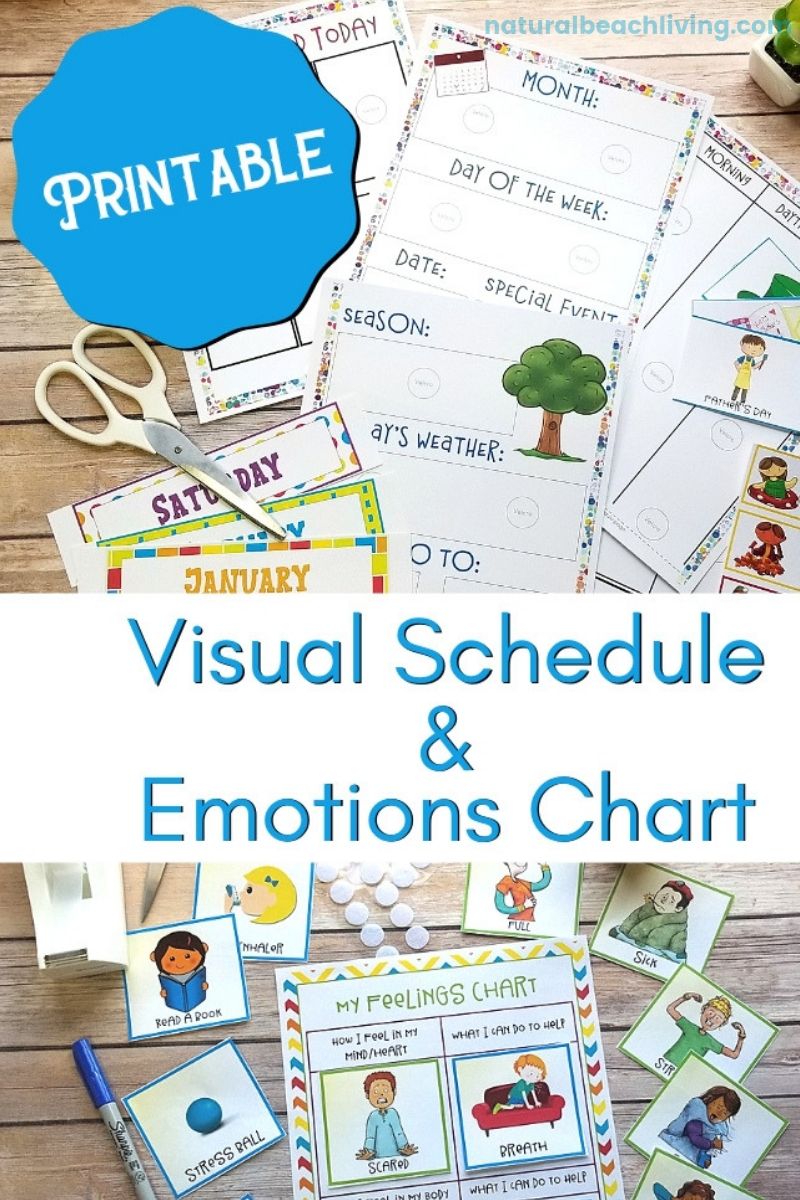  What is a Visual Schedule? A visual schedule provides a clear structure for the day and helps bring calming and peace to children. Through activities and a daily routine, using a visual schedule can provide safety and predictability.