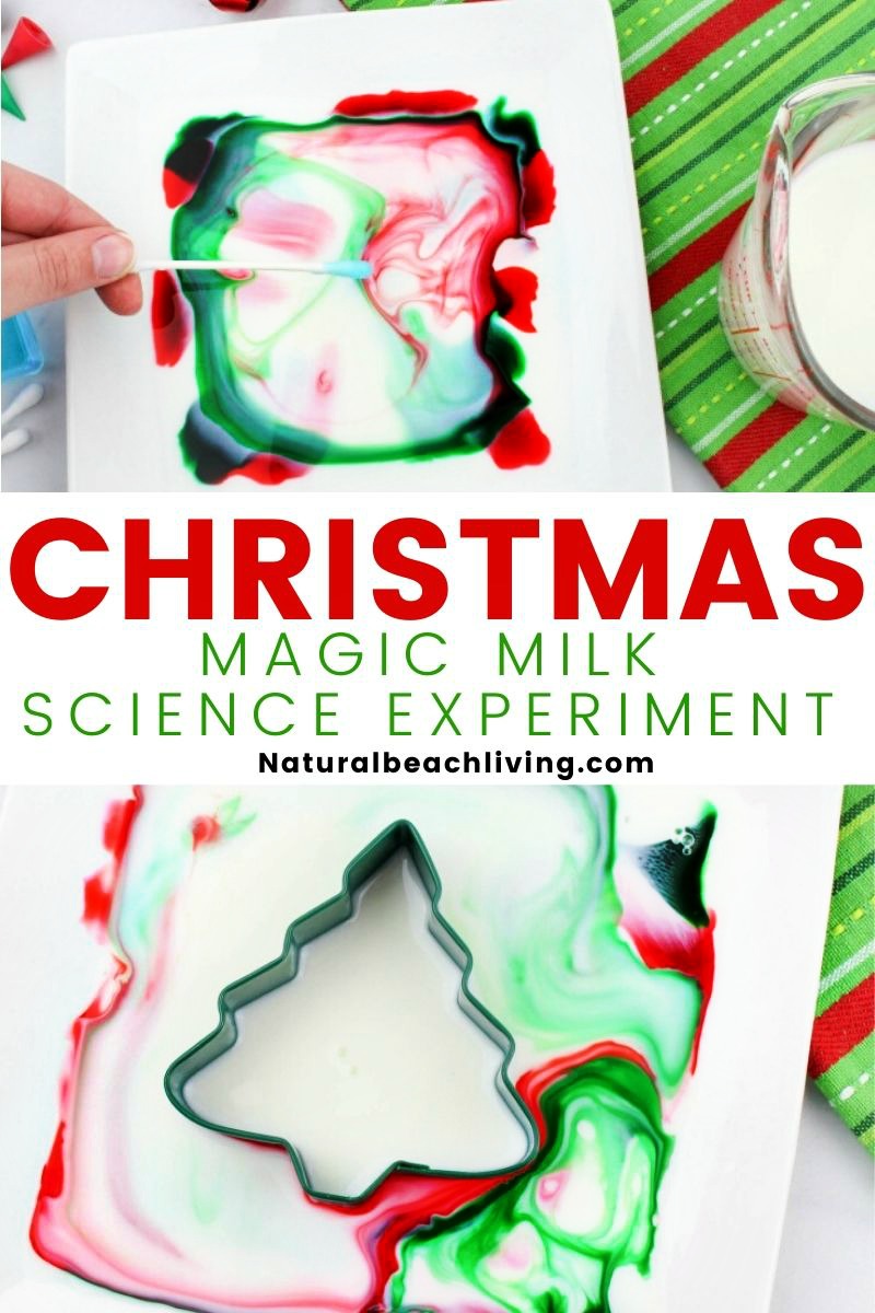 Christmas Magic Milk Science Experiment