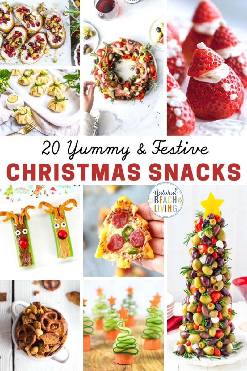 22+ Healthy Christmas Snacks Kids and Adults Love