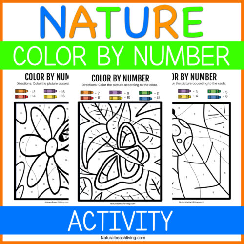 nature color by number preschool worksheets free natural beach living