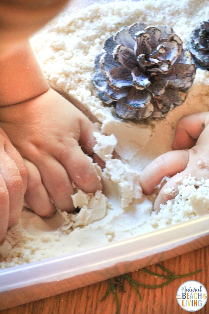 This Winter Nature Sensory Bin is a fun way to let your child explore nature with their hands while also using their other senses. Plus This super cool Winter Snow Cloud Dough will provide hours of fun sensory play in a Nature Sensory Bin. Add this Winter Sensory Bin and Snow Cloud Dough to your winter preschool lesson plans. 
