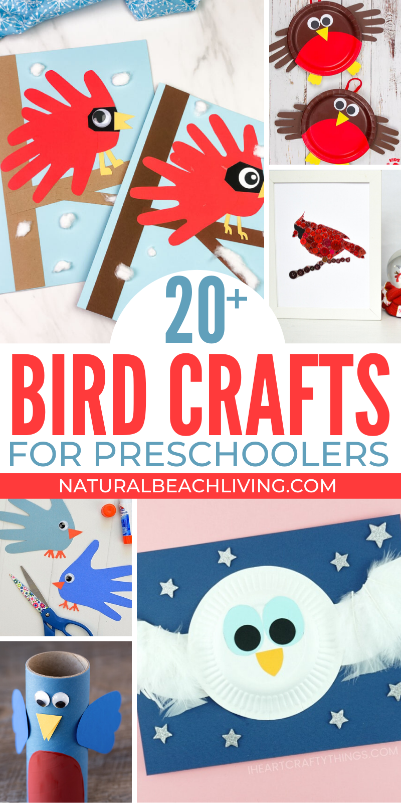 25+ Bird Preschool Crafts - Fun and Easy Crafts for Preschoolers