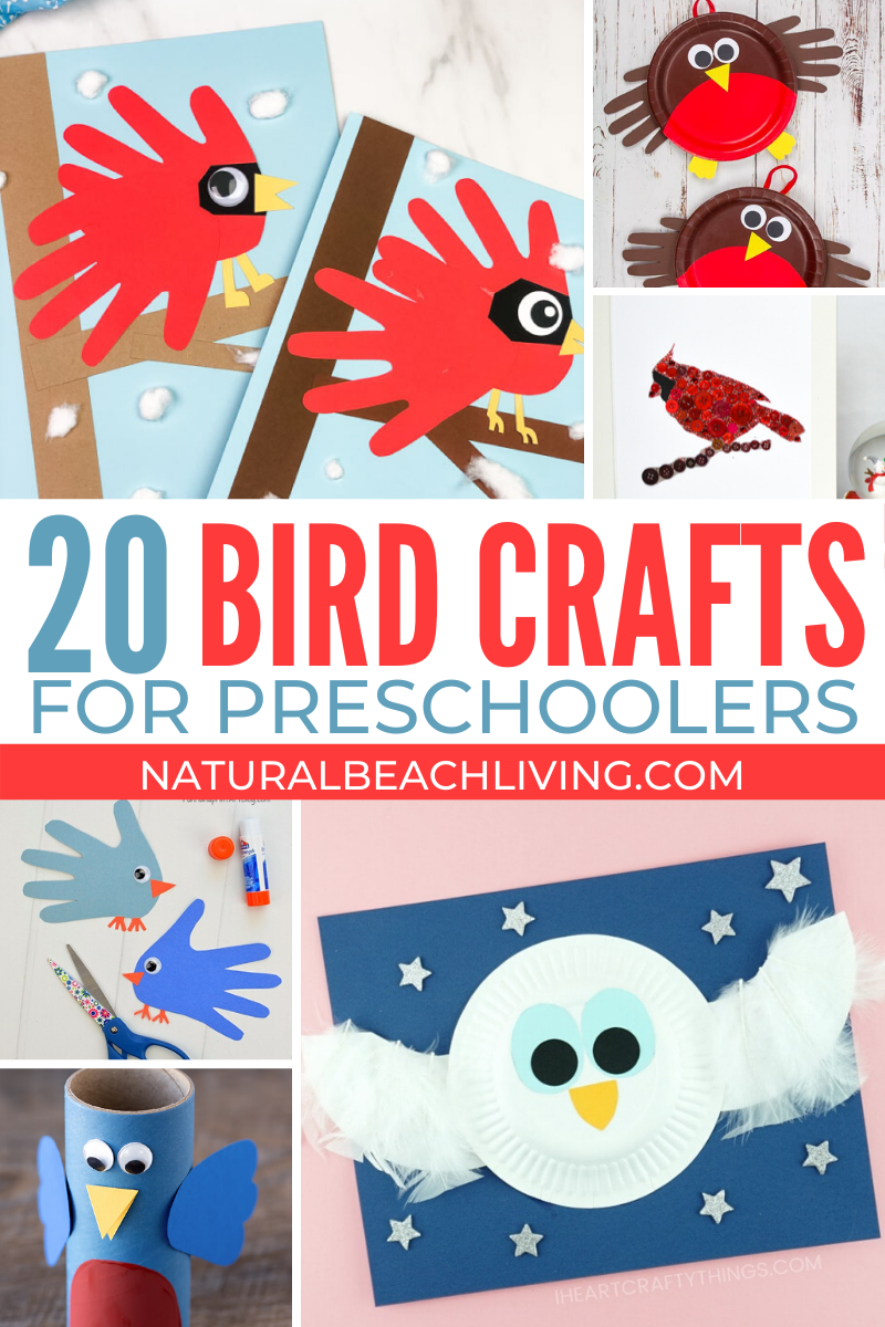 25+ Bird Preschool Crafts – Fun and Easy Crafts for Preschoolers
