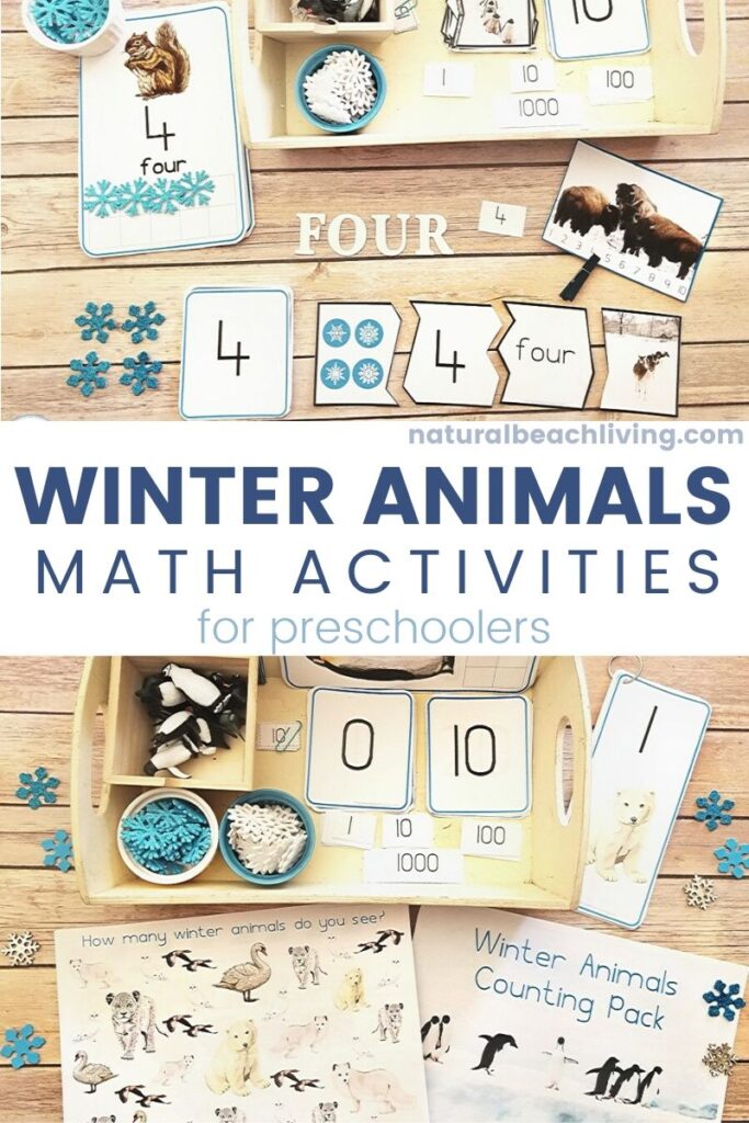 Learning with Winter Animals Montessori Math is so much Fun, These Montessori Math Activities for Preschoolers and Kindergarten are perfect for winter math activities, themed lesson plans, and learning centers. Winter Animals Printables and Winter Math Activities are a favorite winter preschool theme. Grab the best Math Activities for Kindergarten and Preschool Math Printables Here 