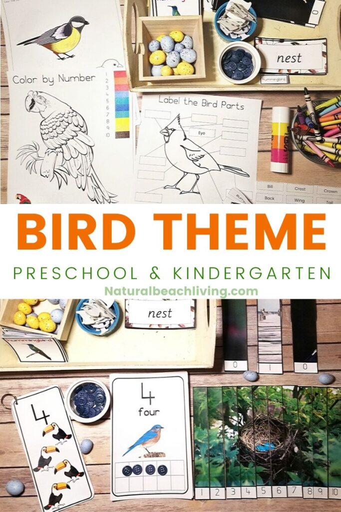 This is The Best Kindergarten and Preschool Bird Theme, lovely Montessori Bird Activities and bird theme printables that include How to Teach About Birds, bird science activities, Math Activities, Art, Bird 3 part cards, bird Life cycle, Parts of a bird and a complete Kindergarten Bird Unit Study