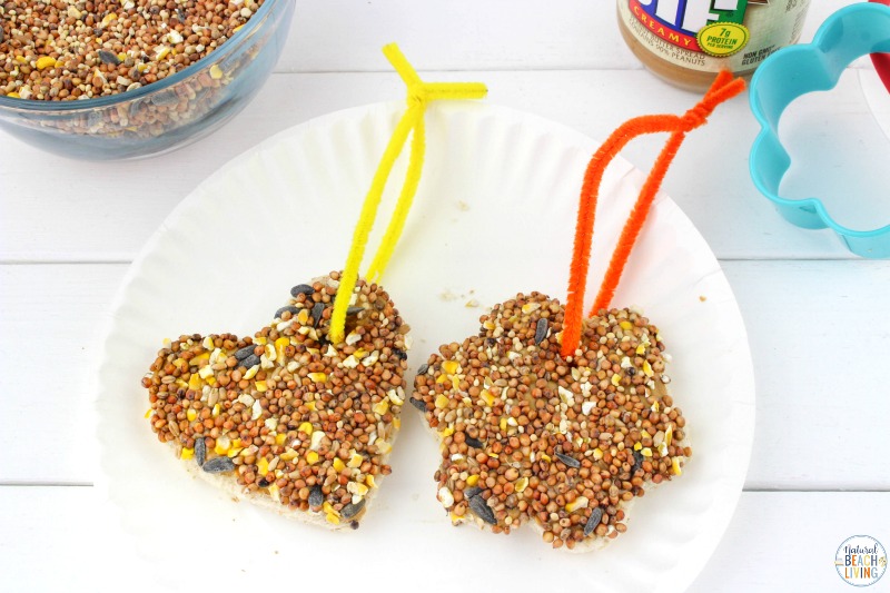 These peanut butter bird treats are so much fun to make. Plus, the birds love them! With just 3 simple ingredients needed, these are so easy to make! The best thing about these bird seed ornaments is it's kid-friendly. 