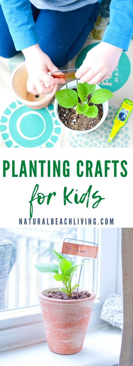 Planting Activities for Preschoolers and DIY Garden Markers - Natural