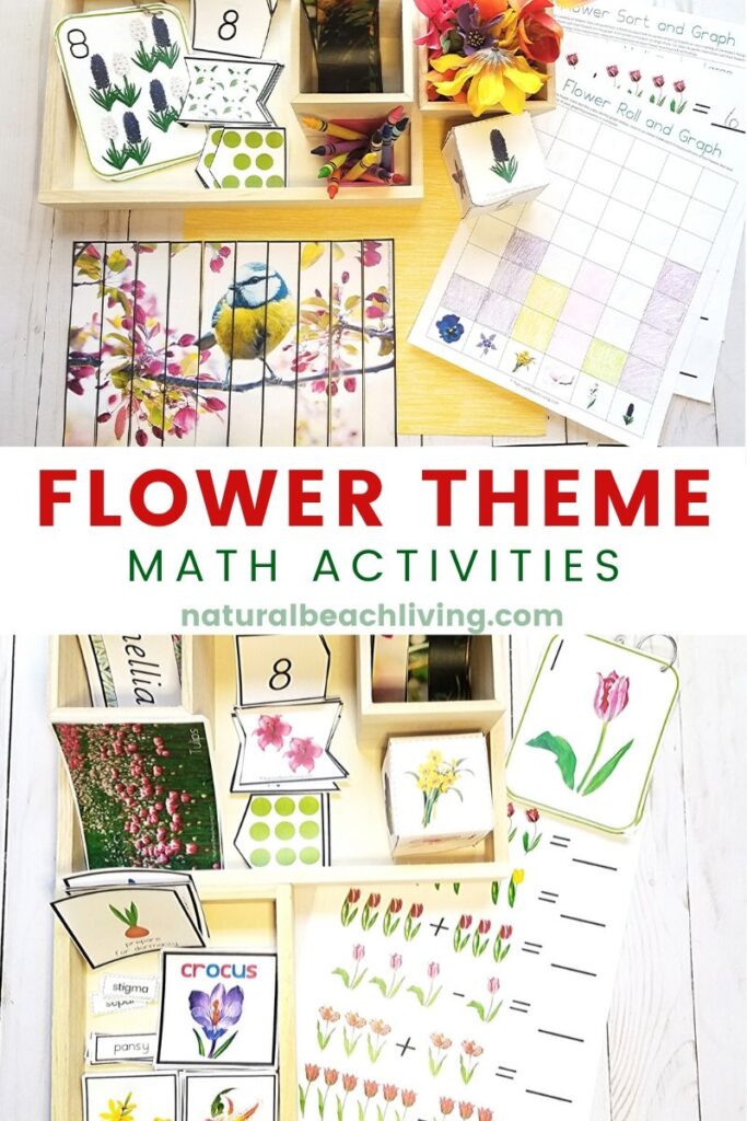 Flower Theme Math activities. Your kids will love the beautiful pictures included in these Preschool and Kindergarten Math activities. Use these preschool flower theme hands on activities for math centers, Montessori trays, or for a simple way to include a spring theme into your homeschooling.