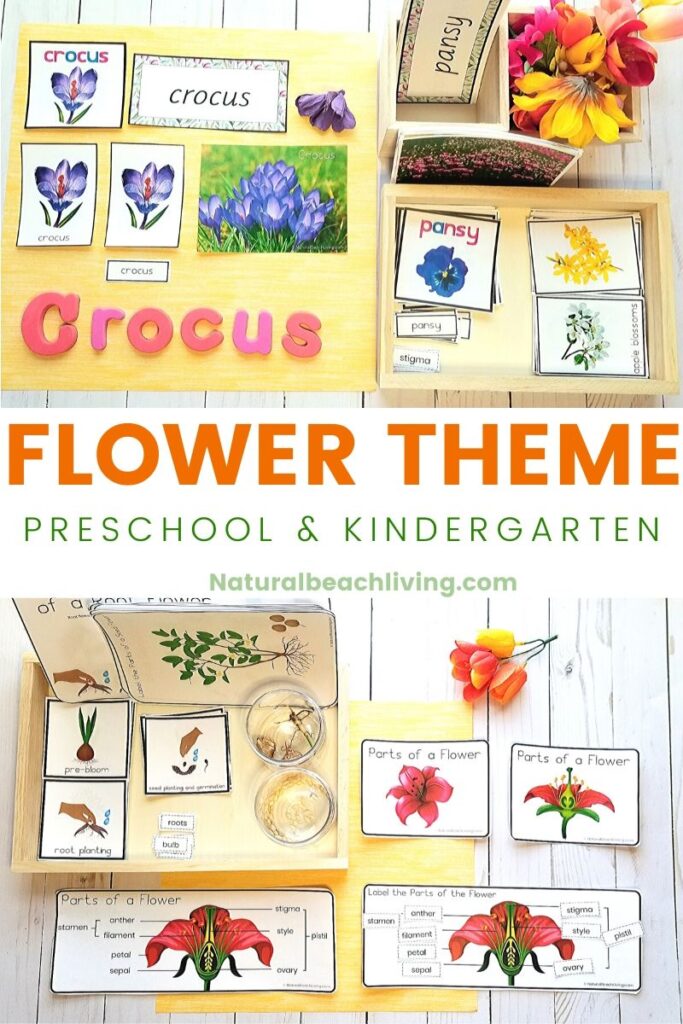 25 Gardening Activities for Preschoolers that include planting, growing and learning activities related to gardening. You'll find everything from making seed bombs, planting seeds with preschoolers, fairy gardens, and everything for a Preschool Garden Theme. Garden Lesson Plans for Preschool, Preschool Gardening Activities 