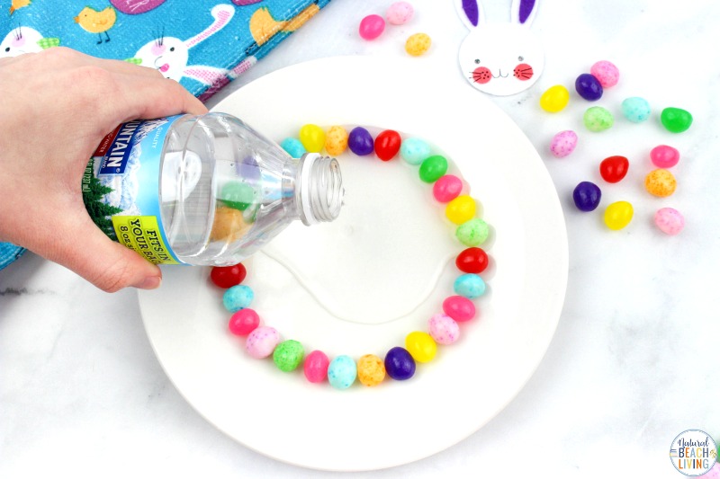 This Jelly Bean Science Experiment is so much fun. It's a great way for kids to see how colors blend and change. Whether you are looking for preschool science, STEM challenges, science projects, Jelly Bean Activities, or just some fun and learning for your kids, this candy science is a definite winner. Jelly Bean STEM Experiment