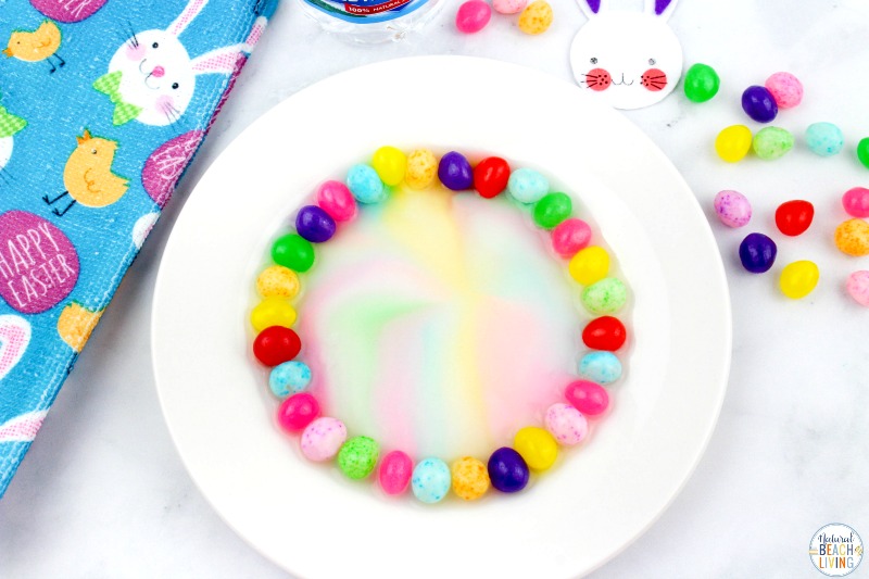 This Jelly Bean Science Experiment is so much fun. It's a great way for kids to see how colors blend and change. Whether you are looking for preschool science, STEM challenges, science projects, Jelly Bean Activities, or just some fun and learning for your kids, this candy science is a definite winner. Jelly Bean STEM Experiment
