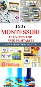 200 Amazing Montessori Activities And Free Printables Natural Beach Living