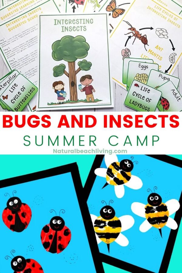 Bugs Summer Camp