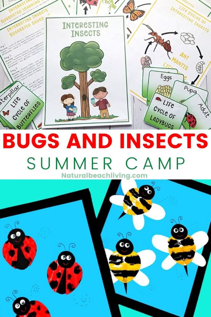 This Summer Camp at Home is perfect for your nature kids. Over 25 Bugs and Insect Activities and Crafts for Kids. Use This Bugs and Insects Summer Camp Theme Guide to make great memories all summer long. Outdoor Games, scavenger hunts, life cycle activities and so much more. 