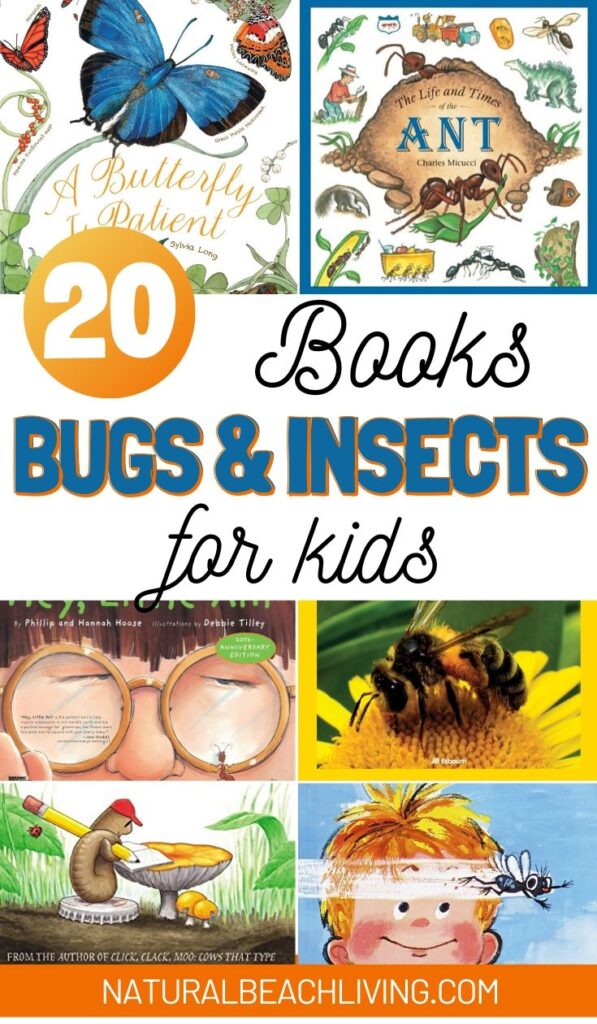 If you are looking for great Bug and Insect books you should check out these! There are insect books for kids that would be great additions to your insect and bugs theme or unit study. They're so much fun and the kids will love them.