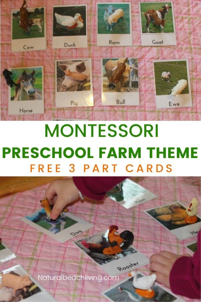 These Montessori Animal Activities and Free Printables are sure to engage and excite your Preschoolers. Free Farm Animal 3 part cards, Farm books for kids, and hands on activities perfect for a preschool farm theme. 