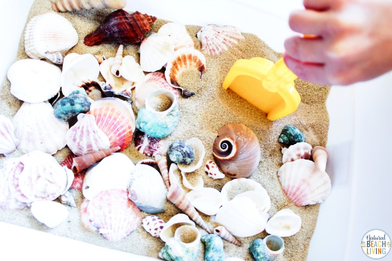 The kids are going to have so much fun with this Seashells Sensory Bin. This simple beach or sand seashell sensory activity makes a wonderful sensory play experience. It's great for exploring different shapes, textures, and is perfect for adding to an ocean theme or preschool science table. 