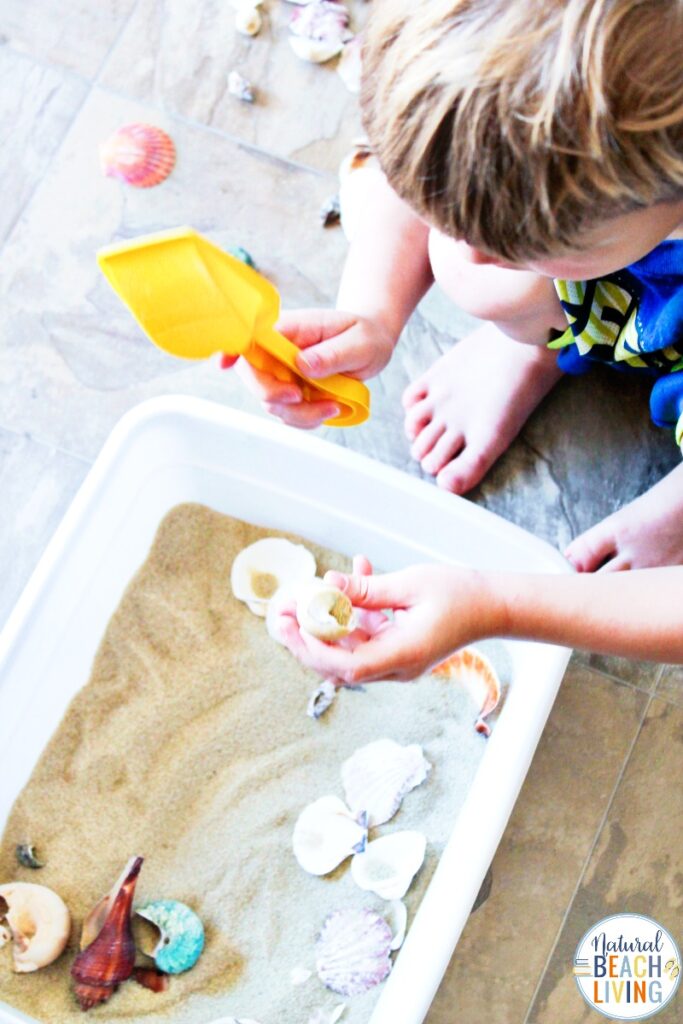 The kids are going to have so much fun with this Seashells Sensory Bin. This simple beach or sand seashell sensory activity makes a wonderful sensory play experience. It's great for exploring different shapes, textures, and is perfect for adding to an ocean theme or preschool science table. 
