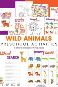 wild animals printables for preschool and kindergarten natural beach living