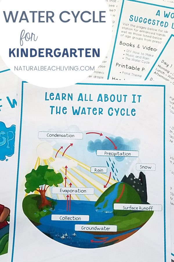 Great ideas and information about the Water Cycle for Kindergarten and learning about the water cycle with hands on activities is a lot of fun! Helpful tips, science activities, water cycle projects, and more activities that you can use to teach your children about the water cycle. 