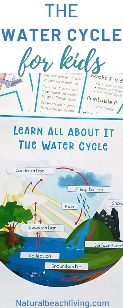 Great ideas and information about the Water Cycle for Kindergarten and learning about the water cycle with hands on activities is a lot of fun! Helpful tips, science activities, water cycle projects, and more activities that you can use to teach your children about the water cycle. 