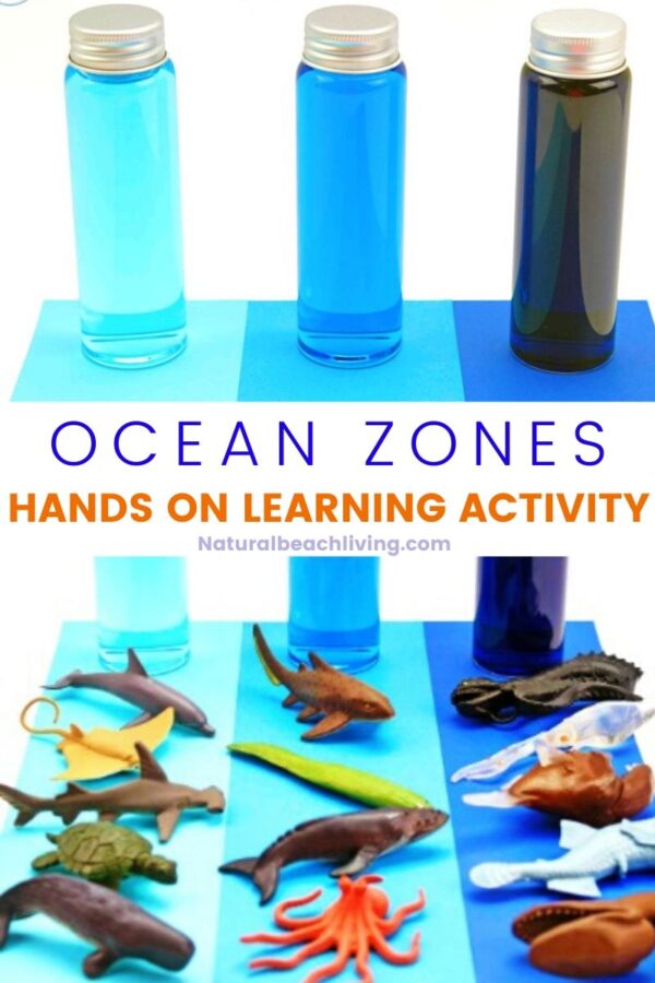 ocean zones for kids and ocean activities natural beach living