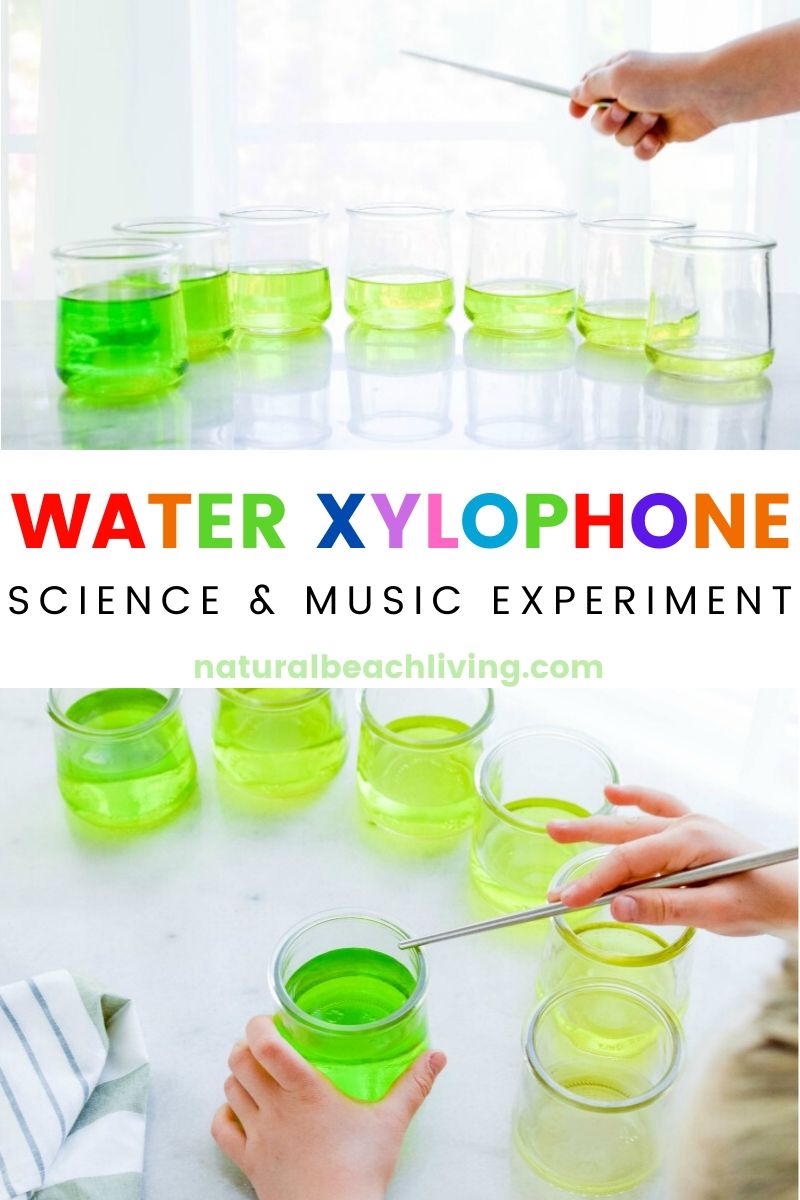 How to Make a Water Xylophone – Music and Science Experiments for Kids
