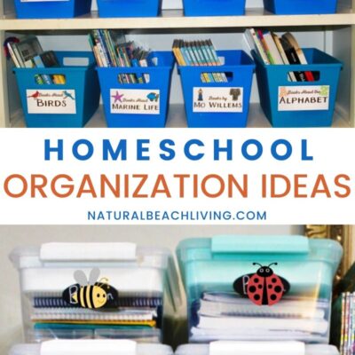 Homeschooling Archives - Natural Beach Living
