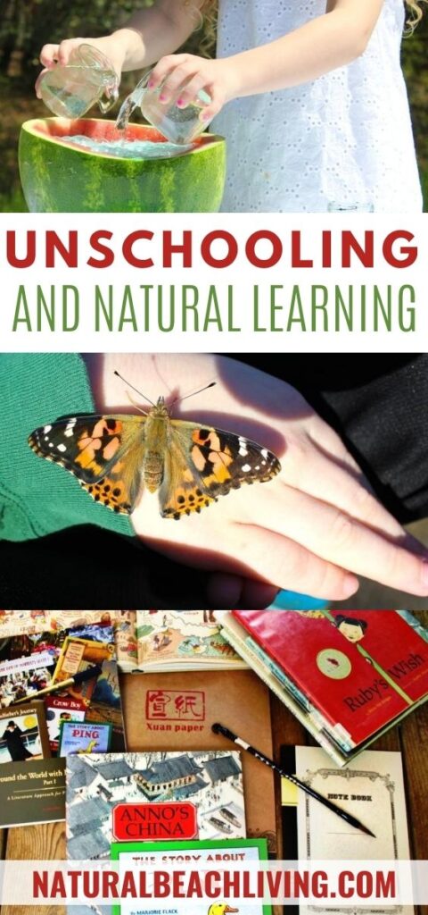 If you are homeschooling or interested in homeschooling you might be wondering What is Unschooling and Natural Learning, Here you'll learn the difference between unschooling and homeschooling and how you can unschool successfully. You'll also learn that natural learning is raising your children to be lifelong learners. 
