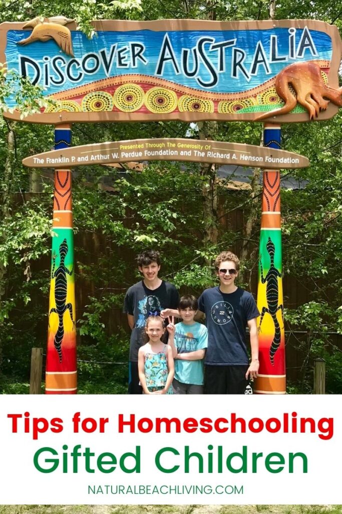 Homeschooling a Gifted Child. Find all of the tips, ideas, curriculum reviews, and information you need for homeschooling. Plus, Homeschooling Methods for Gifted Kids and the best ways to homeschool successfully. 