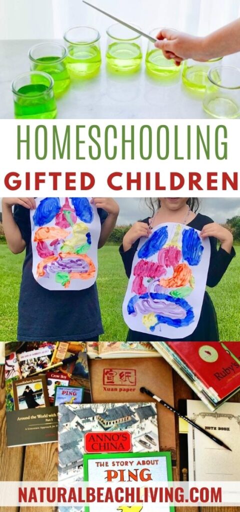 Homeschooling a Gifted Child. Find all of the tips, ideas, curriculum reviews, and information you need for homeschooling. Plus, Homeschooling Methods for Gifted Kids and the best ways to homeschool successfully. 
