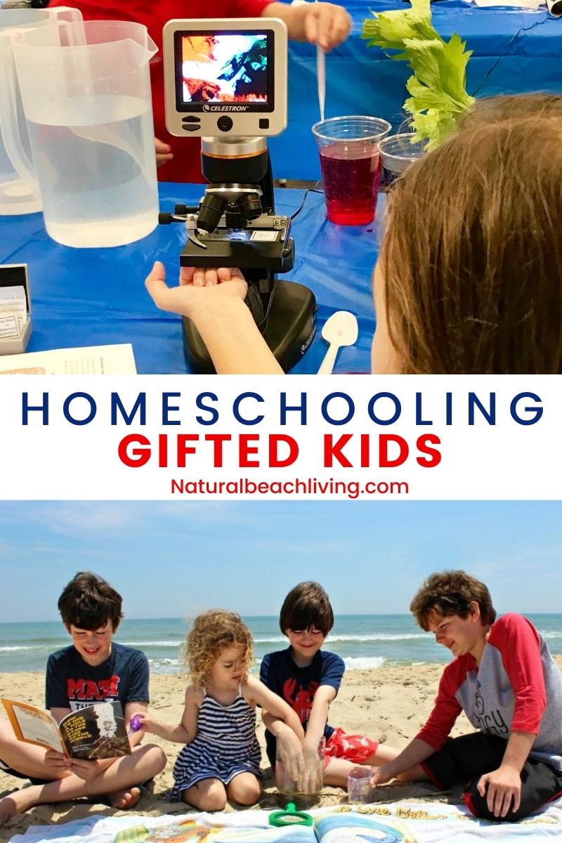 Homeschooling a Gifted Child – Everything You Need to Know