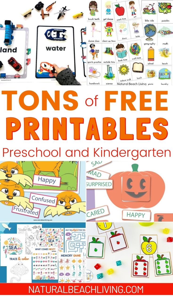 200+ of the Best Preschool Themes and Lesson Plans