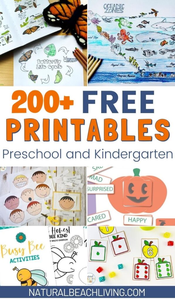 300+ Free Preschool Printables for a large variety of subjects and themes such as All About Me, the five senses, life cycles, counting, princess, Unicorns, colors, Math Printables, Preschool and Kindergarten Worksheets and Activities for Free