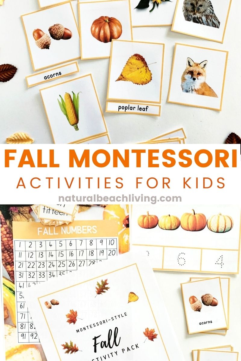 Your children will love these fall Montessori activities, you'll find everything you need for wonderful fall lessons. Charlotte Mason and Montessori fall activities