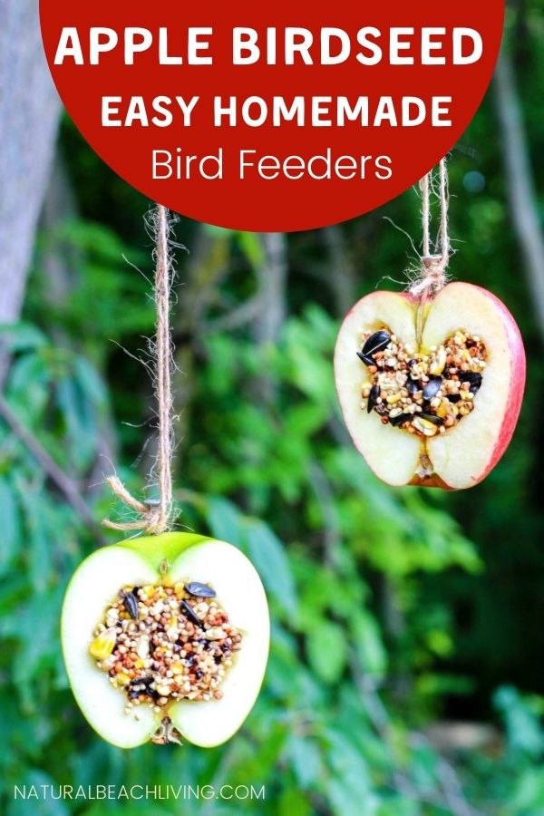 How to Make Apple Birdseed Homemade Bird Feeders, Apple Bird Feeders, These APPLE BIRDSEED BIRD FEEDERS ARE THE BEST! You can Invite the birds to your yard with these Easy bird feeders. DIY bird feeders are a great family craft and a fun way to learn about nature. Adding in apples for fall is an extra bonus and make a Great Fall Craft for Kids, Homemade Bird Treats, From How to Make bird seed ornaments to DIY birdseed ornaments and Apple Activities for Kids, we have hundreds of fall ideas and activities