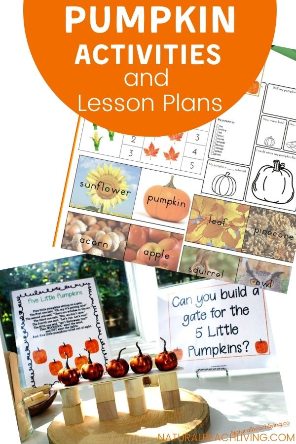 The Best Kindergarten and Preschool Pumpkin Theme Activities and Lesson Plans, Perfect Preschool Activities for fall with hands on learning activities, Fall Preschool Themes with Preschool STEM, Language activities, fall Sensory play, fine motor skills activities, Reggio, Montessori and more.