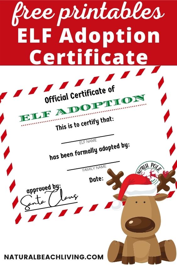 Elf Adoption Certificate Free Elf on the Shelf Printables