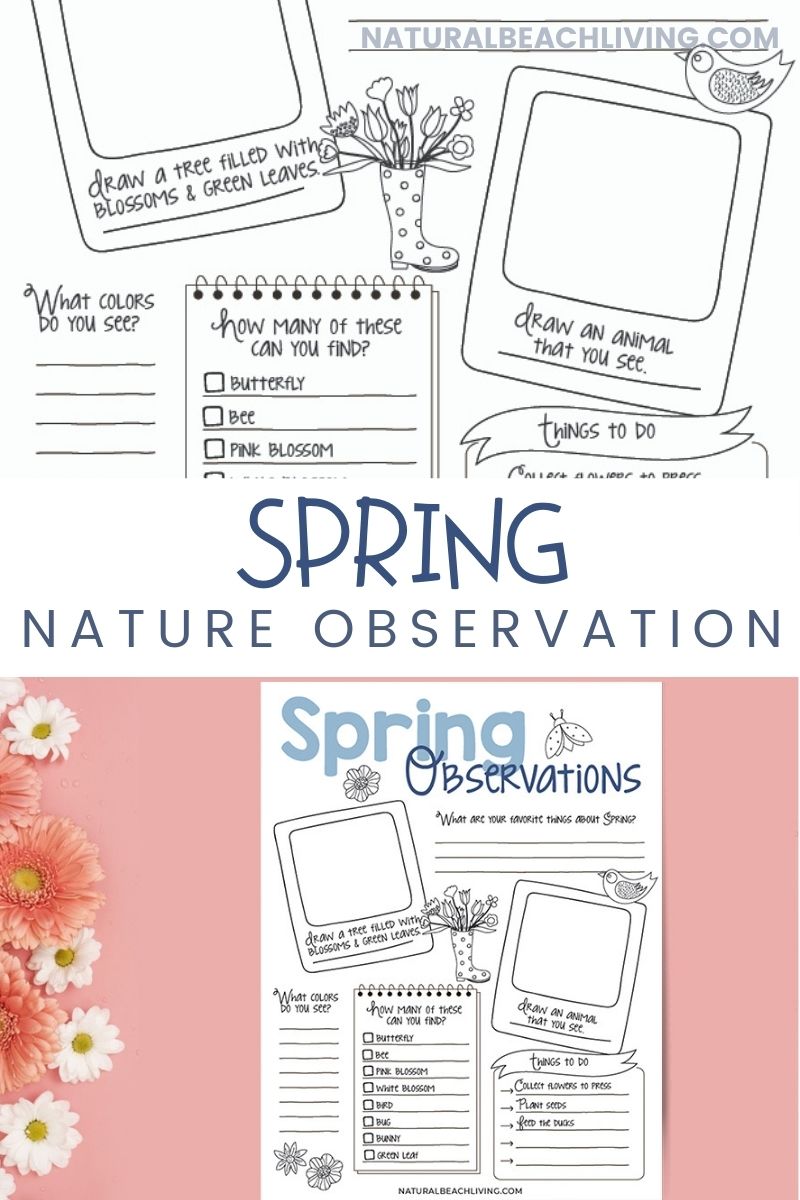 Spring Nature Study for Kids, Here you'll find Easy Spring Nature Study Ideas with great Nature Books for kids and Outdoor Spring Activities. Spring is the perfect time to observe seeds in the garden, plant flowers, learn about bugs, birds, and so much more. 
