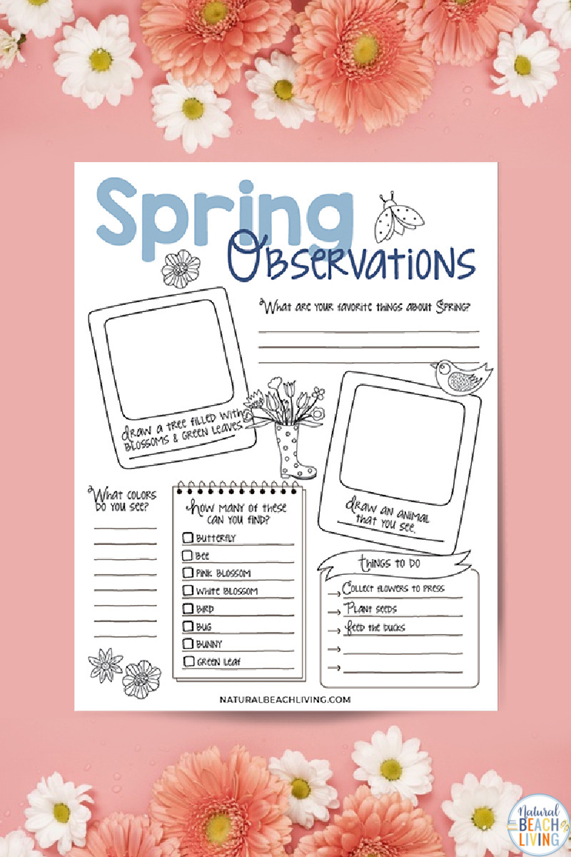 Spring Nature Study for Kids – Free Nature Observation Worksheet