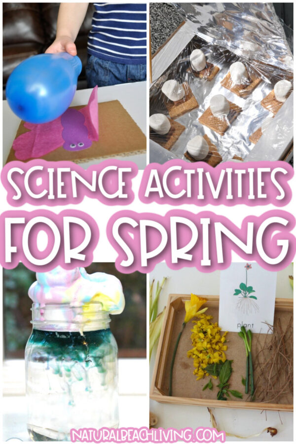 30+ Spring Activities for Preschoolers Science and Nature - Natural