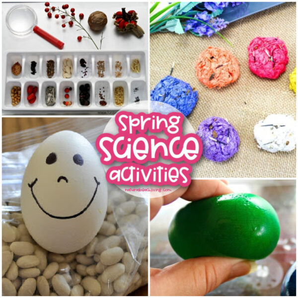 30+ Spring Activities for Preschoolers Science and Nature - Natural